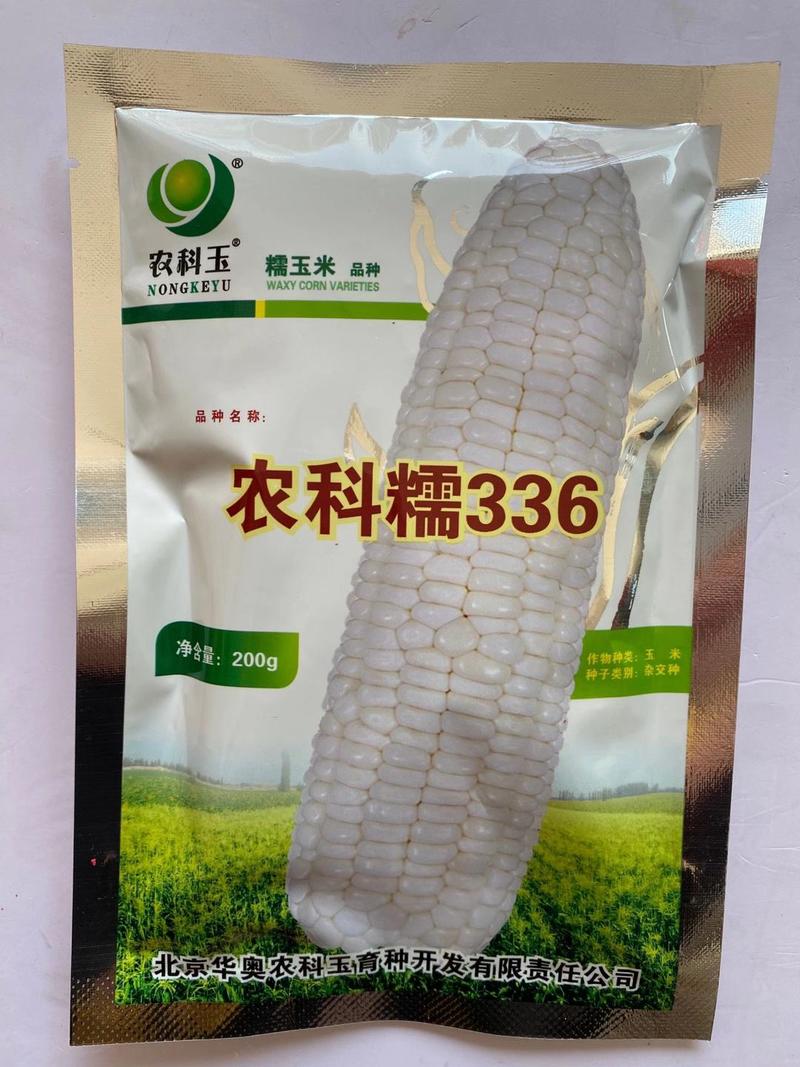 农科玉糯玉米种子336/368国审批准中早熟甜加糯种子
