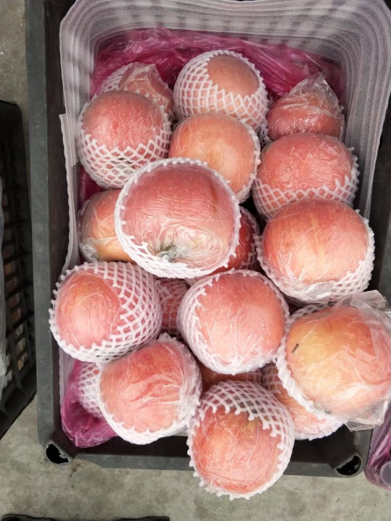 富士萍果落价了，有要抓紧联系