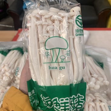 河北涞水县华益菇业有限公司海鲜菇