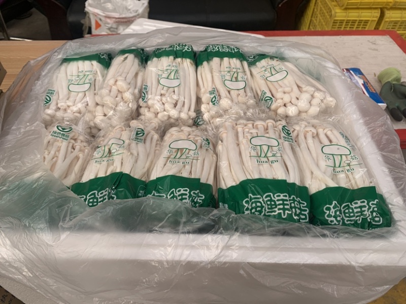 河北涞水县华益菇业有限公司海鲜菇