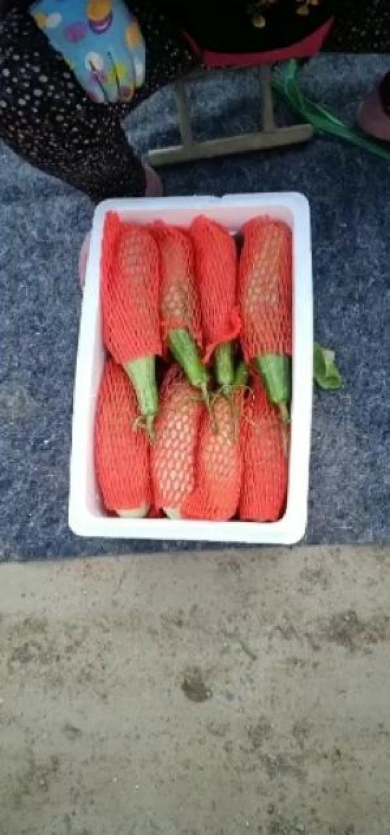 电商羊角蜜甜瓜直供，提供场地包装！代发货！保证质量