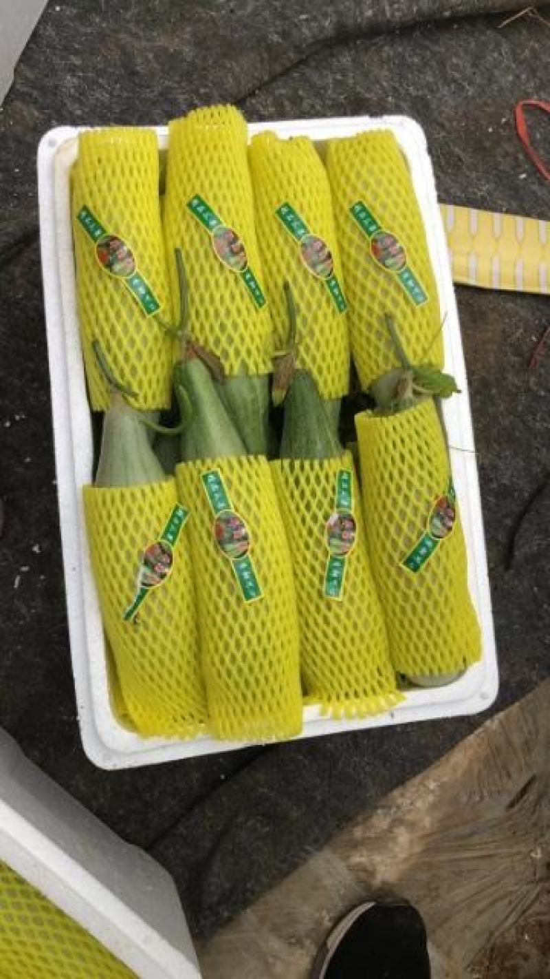 电商羊角蜜甜瓜直供，提供场地包装！代发货！保证质量