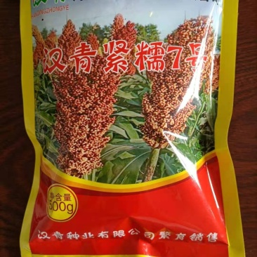 高粱种子：汉显紧糯7号