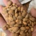 【精品】进口桃仁保质保量常年供应各种规格级别纯正品