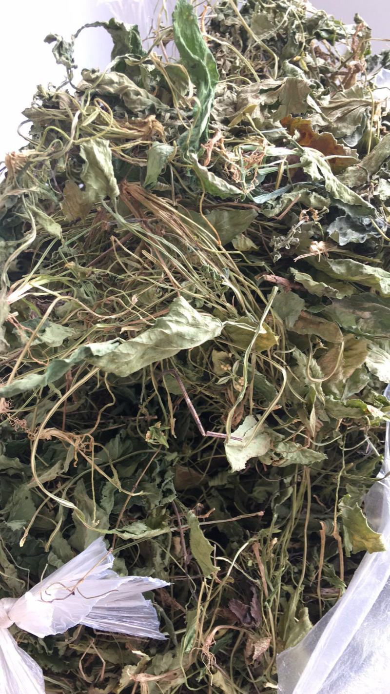 紫花地丁，地丁全草，纯干