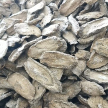 【热销】黄金牛蒡片全规格质量保证品种多样诚信交易