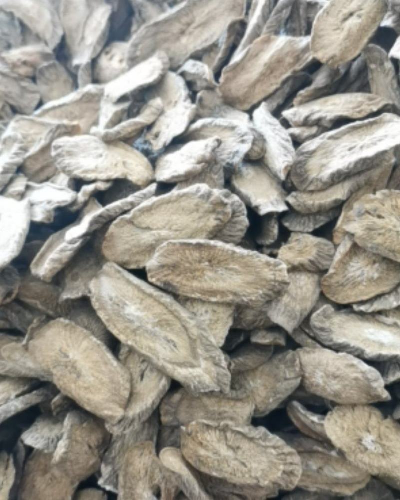 【热销】黄金牛蒡片全规格质量保证品种多样诚信交易
