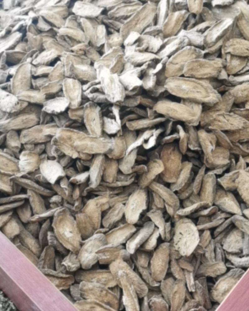 【热销】黄金牛蒡片全规格质量保证品种多样诚信交易