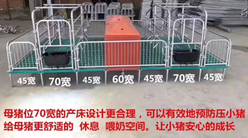 养殖设备厂家直销产保一体产床质量保证量大从优