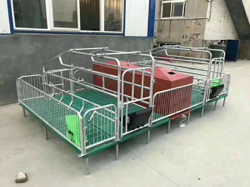 养殖设备厂家直销产保一体产床质量保证量大从优