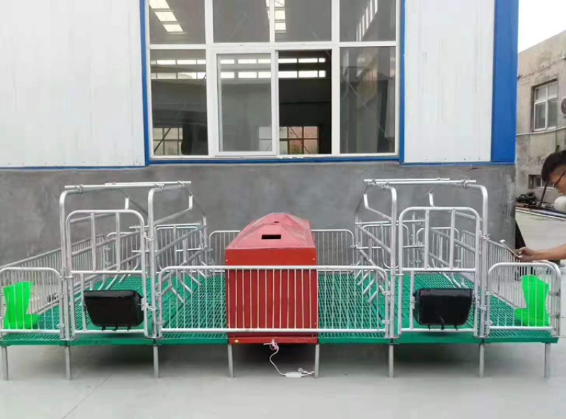 养殖设备厂家直销产保一体产床质量保证量大从优