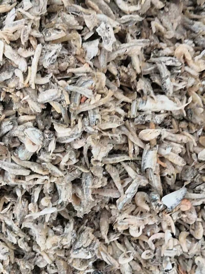 鱼粉原料淡干小鱼干！！！