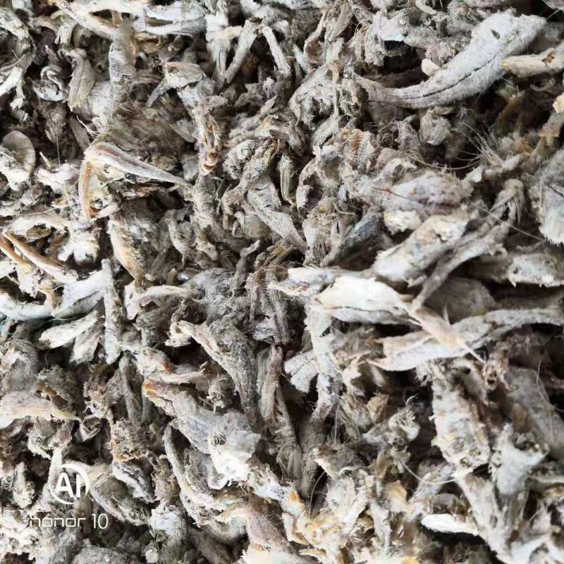 鱼粉原料淡干小鱼干！！！