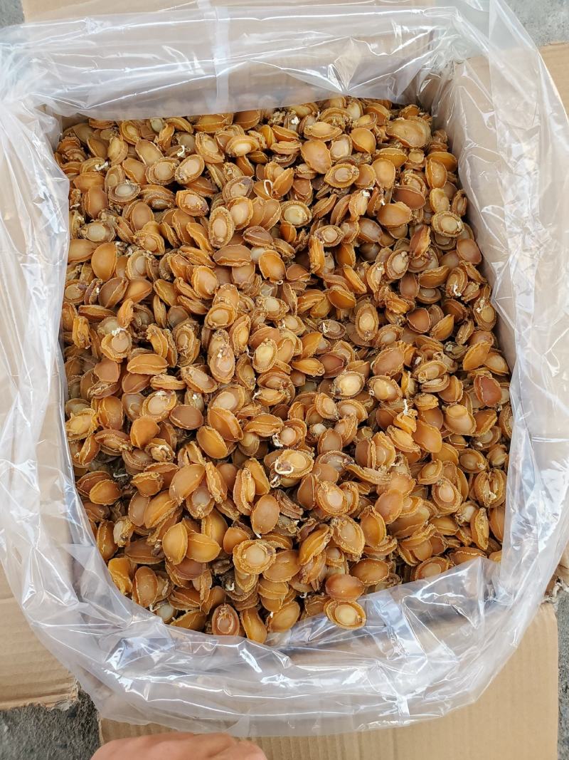鲍鱼干，广西北海厂家直销，100头左右的鲍鱼，适合酒席