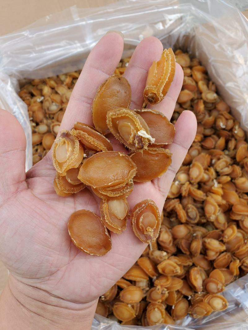 鲍鱼干，广西北海厂家直销，100头左右的鲍鱼，适合酒席