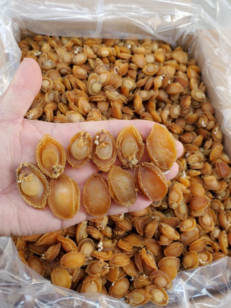 鲍鱼干，广西北海厂家直销，100头左右的鲍鱼，适合酒席