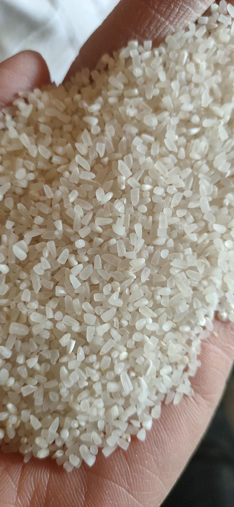 碎米，香碎米，月供500吨，桂林市厂家直销