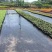 防草布抑草除草布地布果园农用除草布定制0.4-6米防晒
