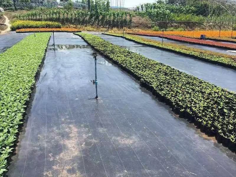 防草布抑草除草布地布果园农用除草布定制0.4-6米防晒