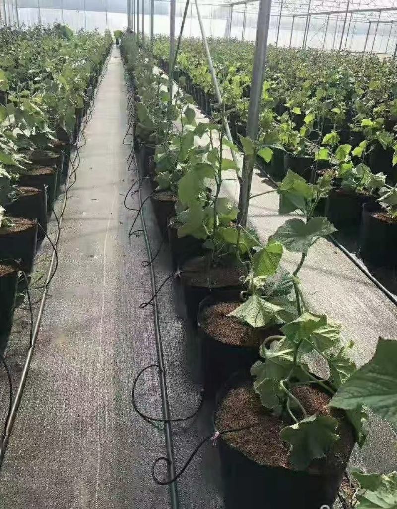 防草布抑草除草布地布果园农用除草布定制0.4-6米防晒