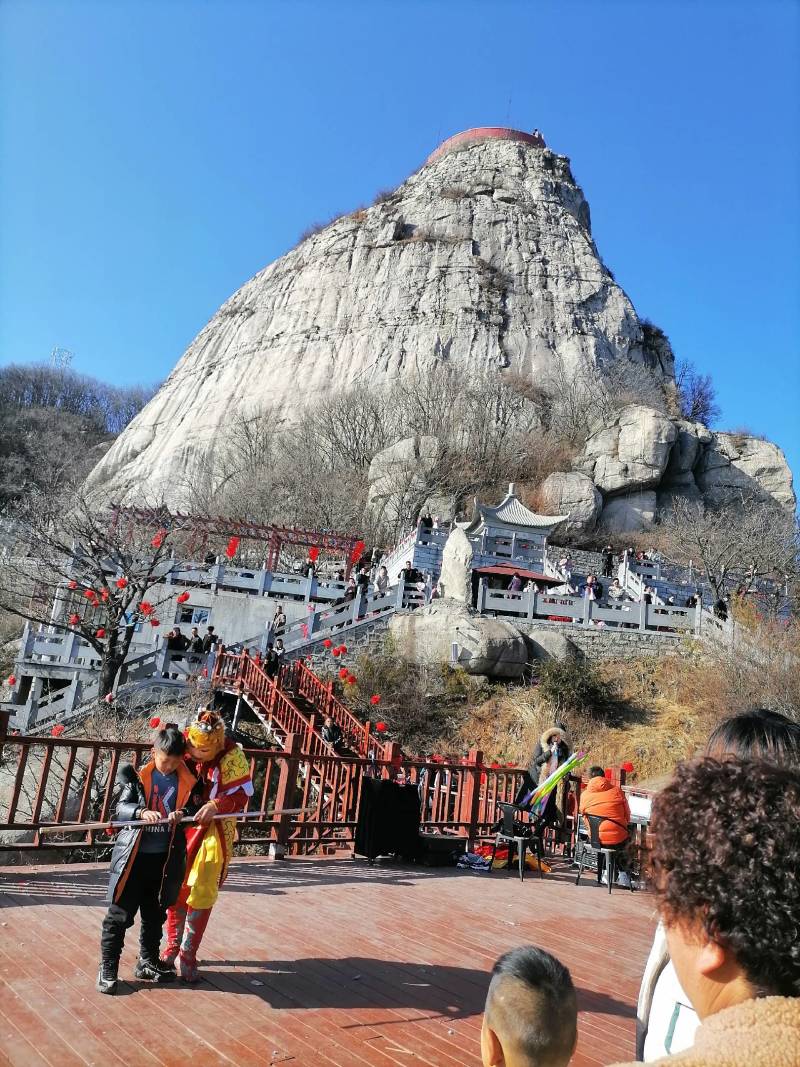 何首乌：鲜货:野生，批发：深山采挖3年到5年的一手货源。