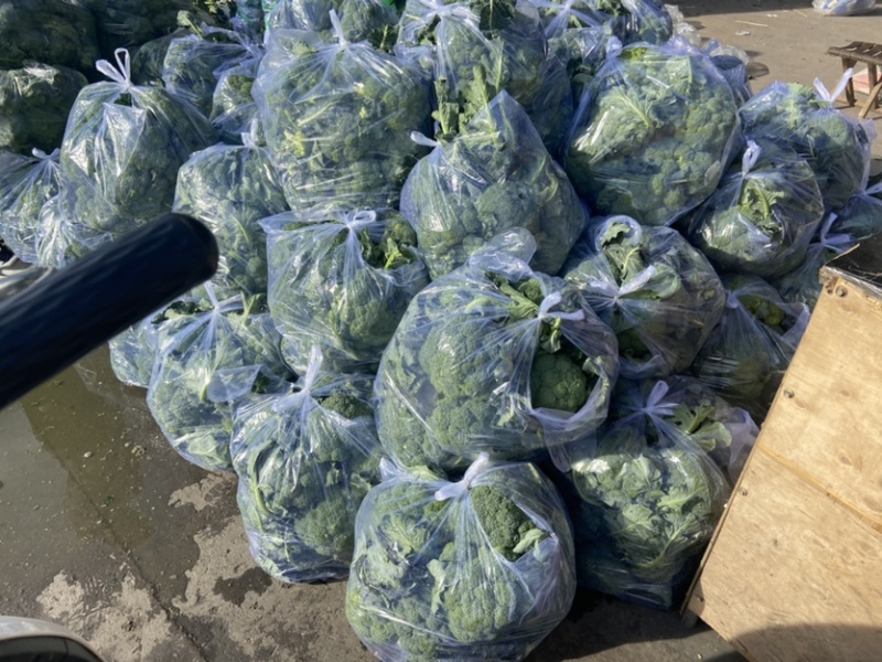 西兰花质量好货源足想要的老板，抓紧联系！