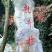 2021年产区龙井茶新茶上市，春天的味道