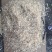 食用菌原材料成品木屑出售
