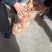 土豆/荷兰十五土豆/河南土豆大量有货产地直发