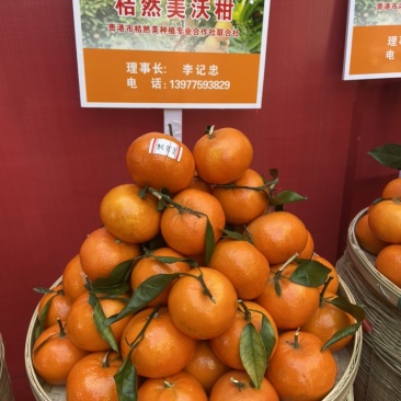 广西贵港沃柑代办打蜡服务中心