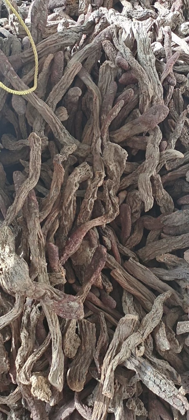 中药材/中药根茎类/锁阳/锁阳选货/锁阳统货/长期供应