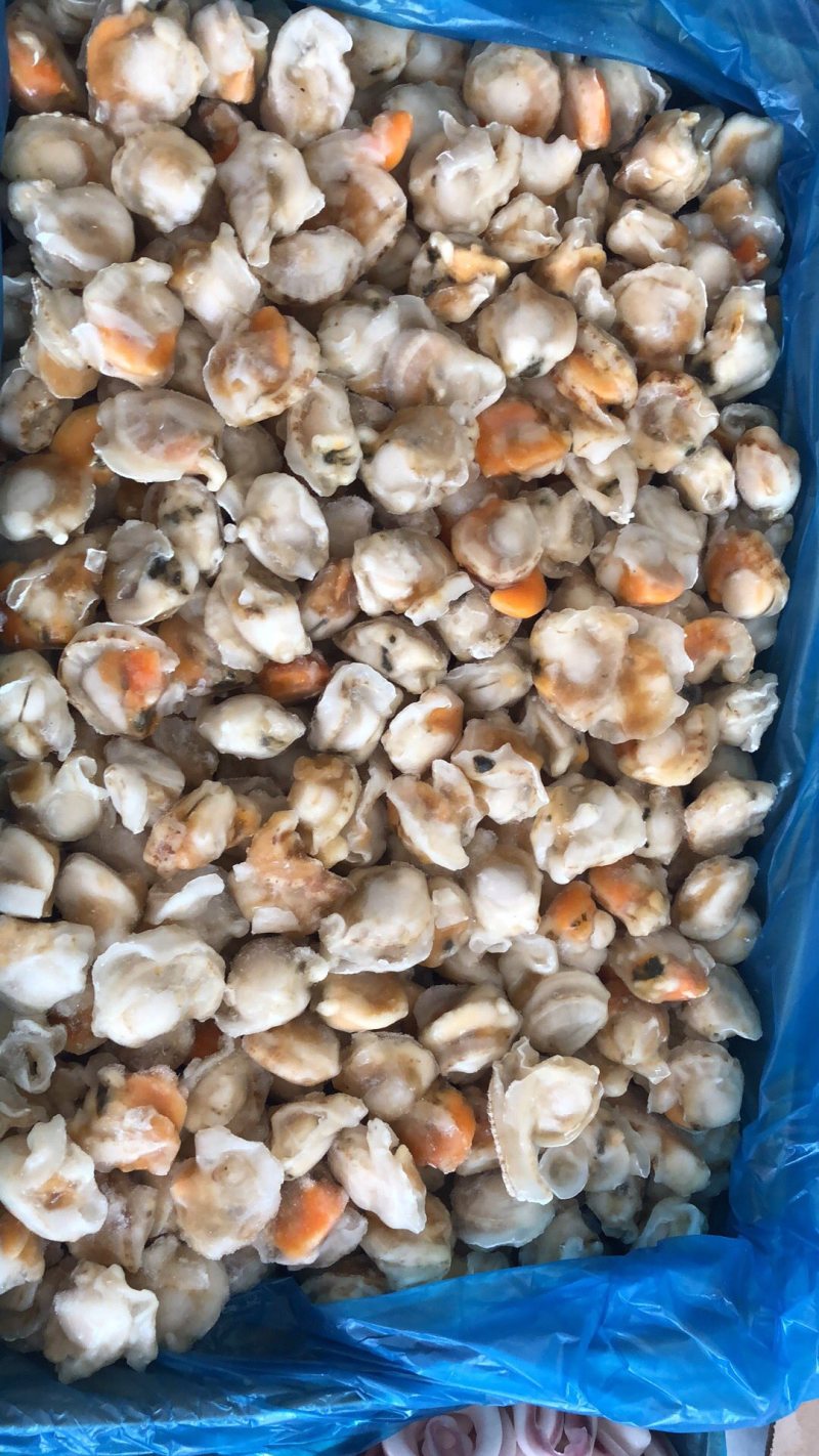 原汁扇贝肉炒菜烩面涮锅
