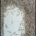 水产米虾新鲜干净白米虾小野鱼大量出售米虾