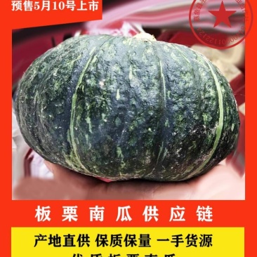 湖北板栗南瓜供应链基地量大优惠2-4斤左右专供电商