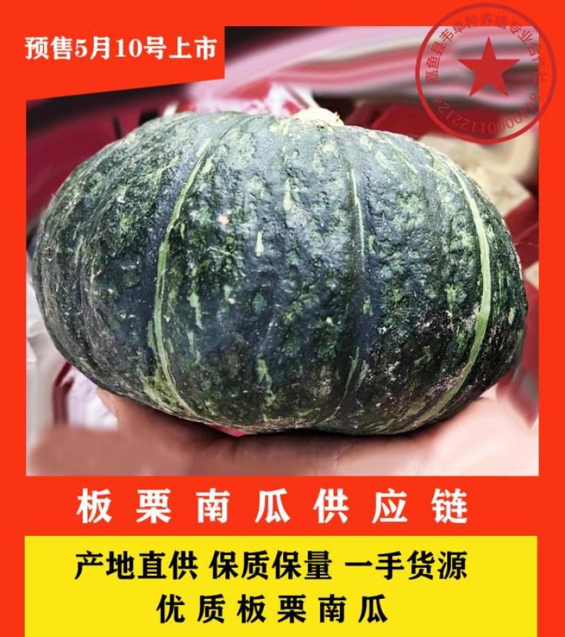 湖北板栗南瓜供应链基地量大优惠2-4斤左右专供电商