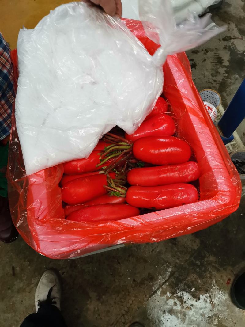 娃娃菜泡沫箱，罗卜泡沫箱