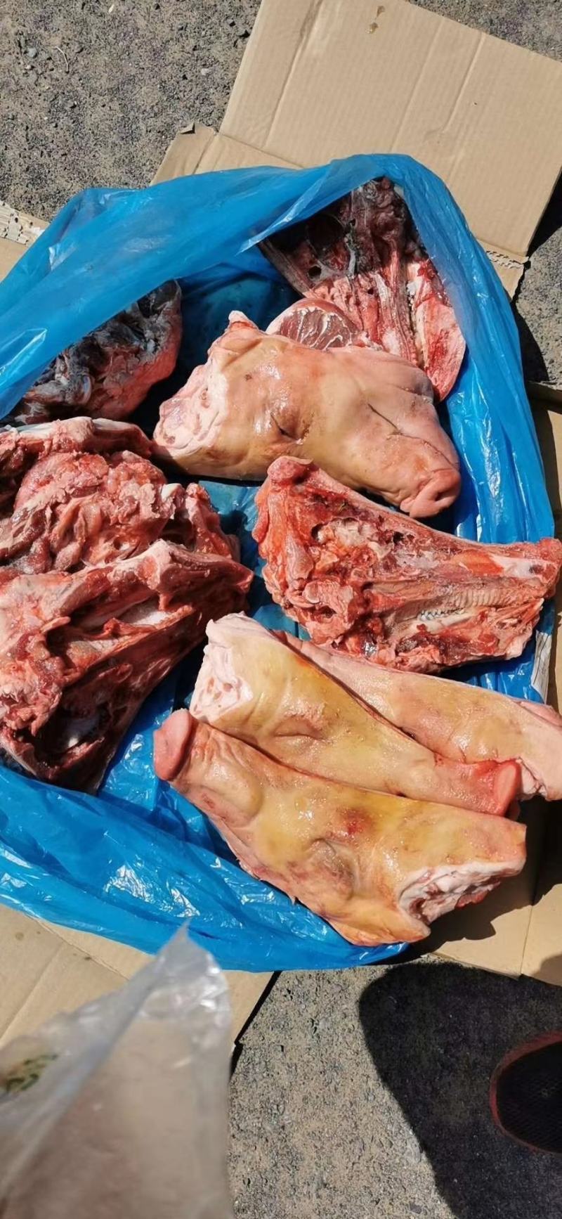 猪头，国产肥猪猪头带耳，标猪劈半猪头，去耳猪头，
