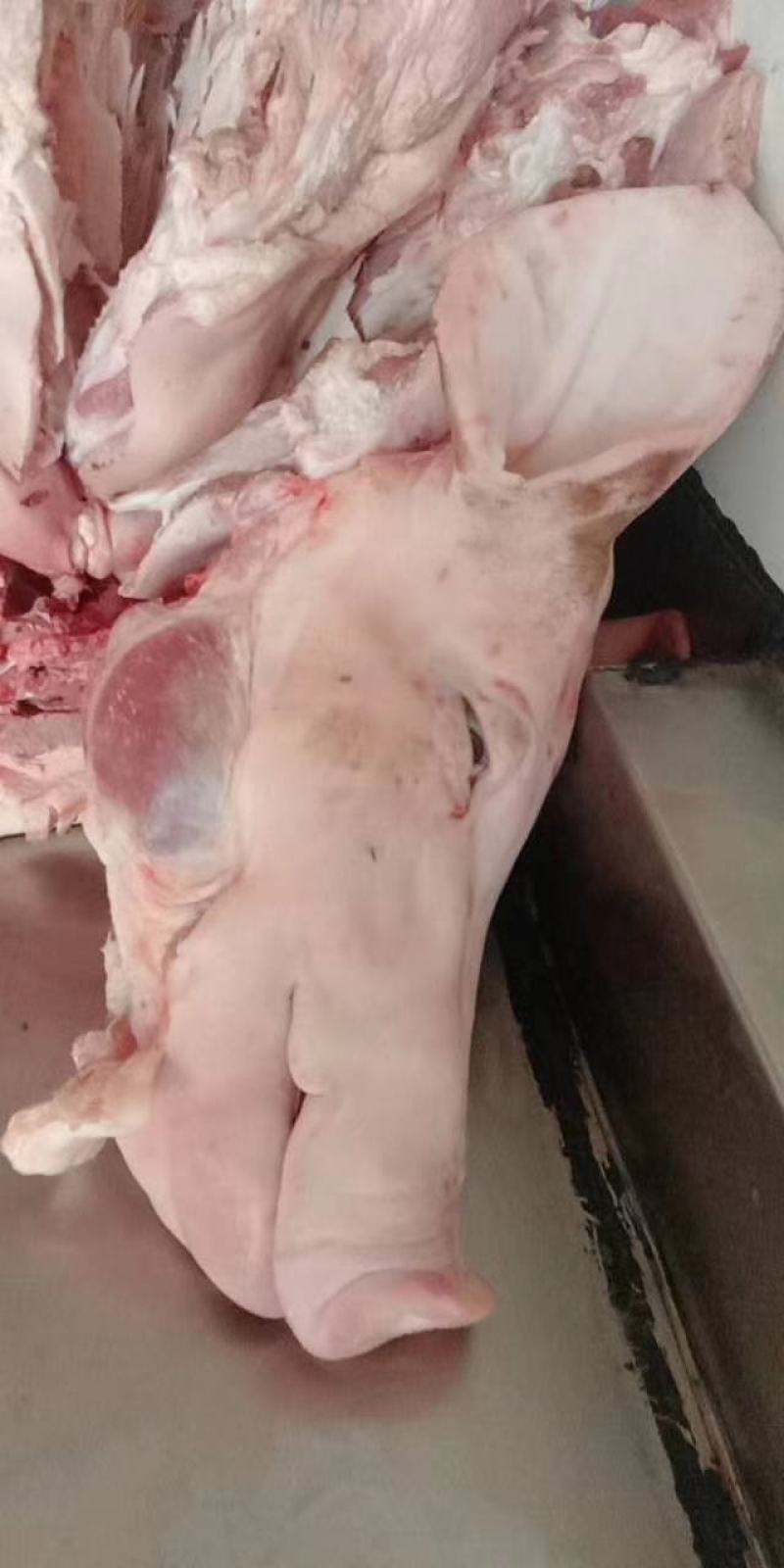 猪头，国产肥猪猪头带耳，标猪劈半猪头，去耳猪头，