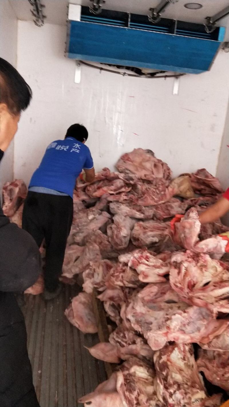 猪头，国产肥猪猪头带耳，标猪劈半猪头，去耳猪头，
