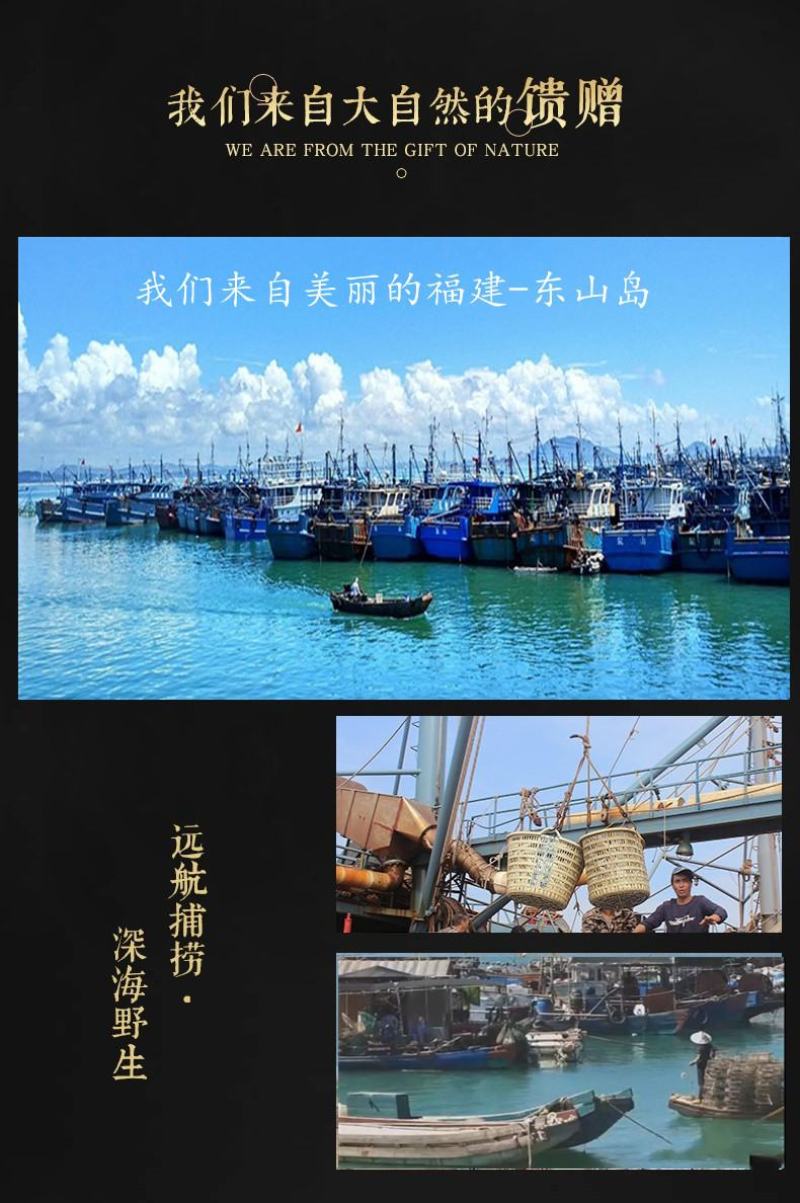 沙鲈虾活冻沙颅虾东山岛深海海捕火锅白灼爆炒都