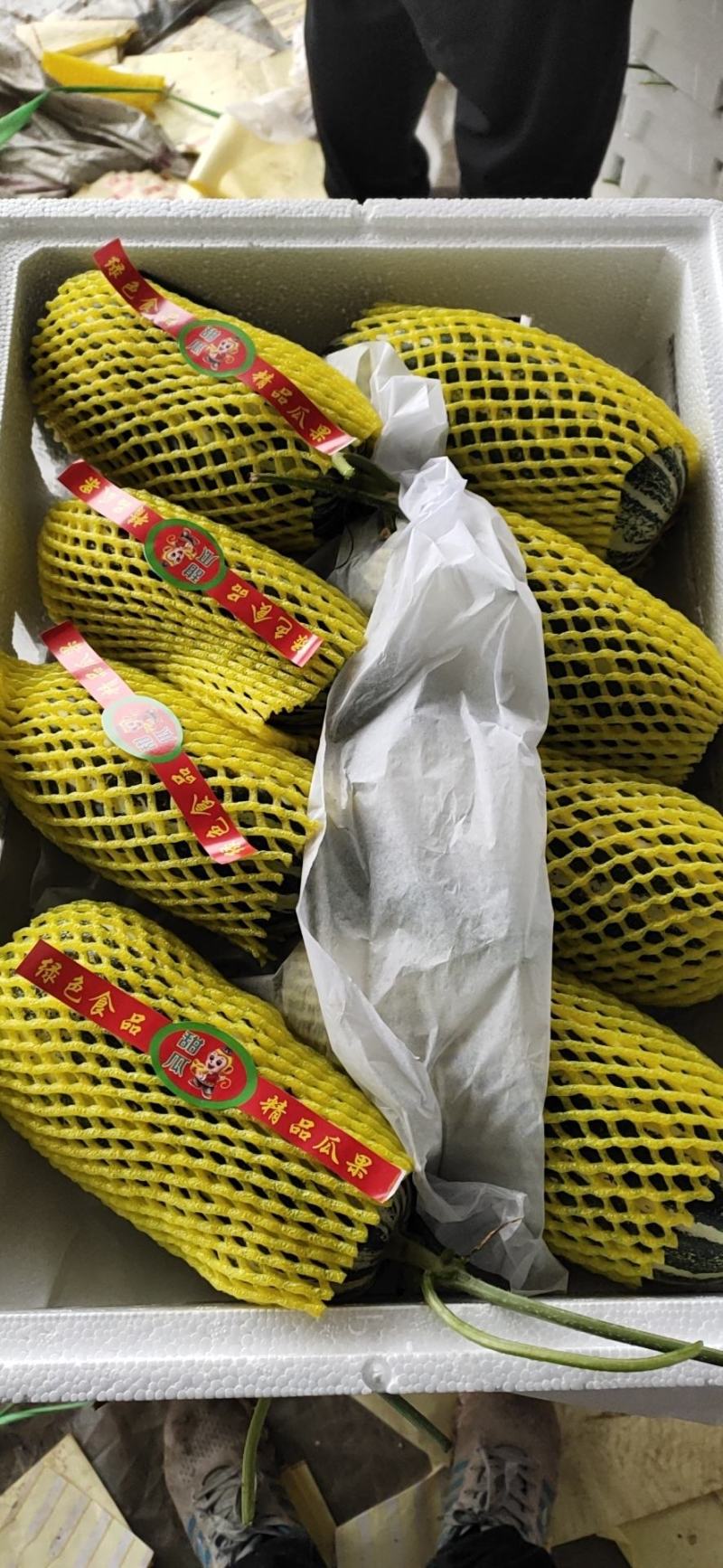 山东燕店甜瓜博洋9号博洋蜜瓜