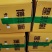 山东燕店甜瓜博洋9号博洋蜜瓜