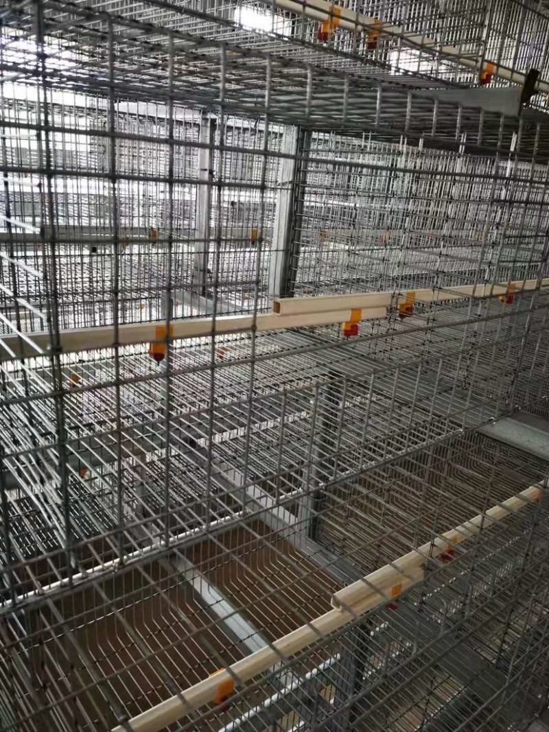 阶梯式肉鸡笼阶梯式笼具