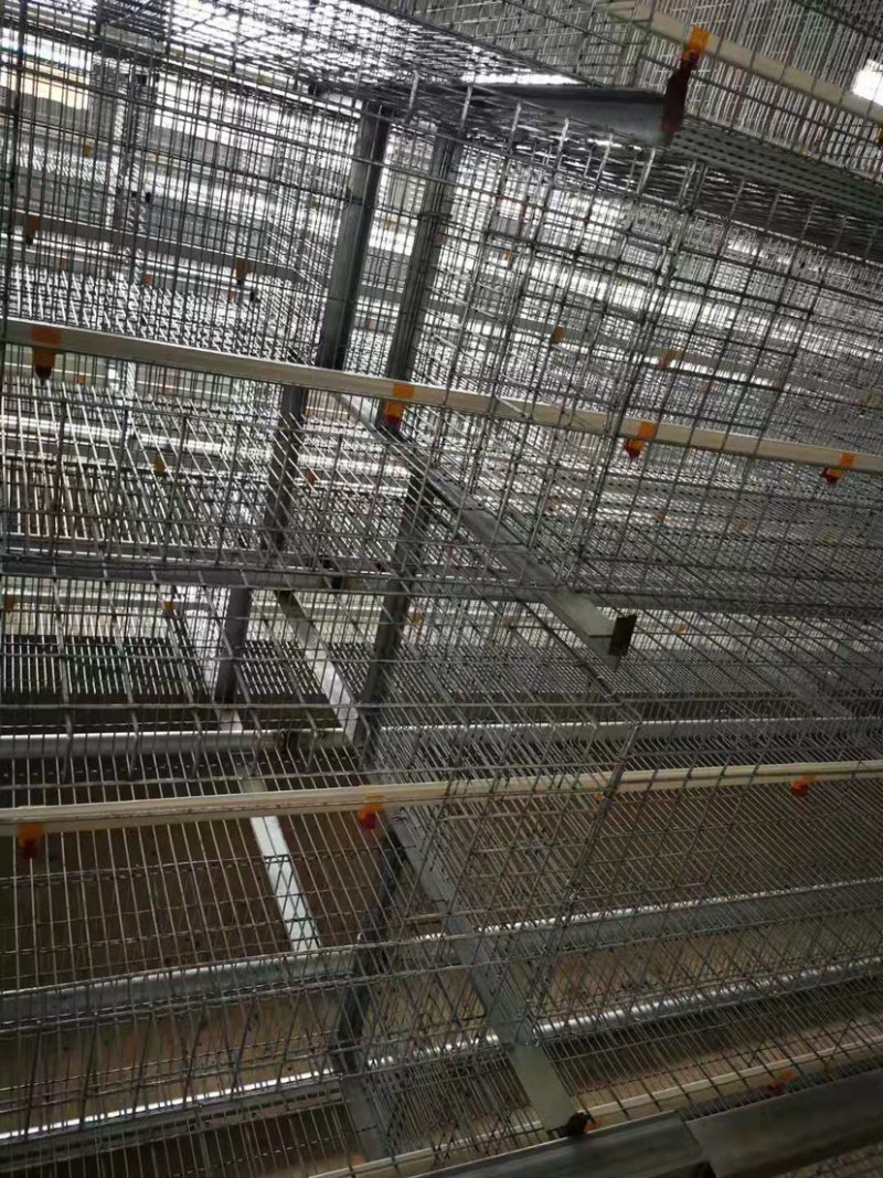 阶梯式肉鸡笼阶梯式笼具