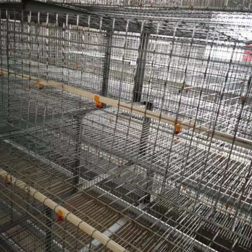 阶梯式肉鸡笼阶梯式笼具