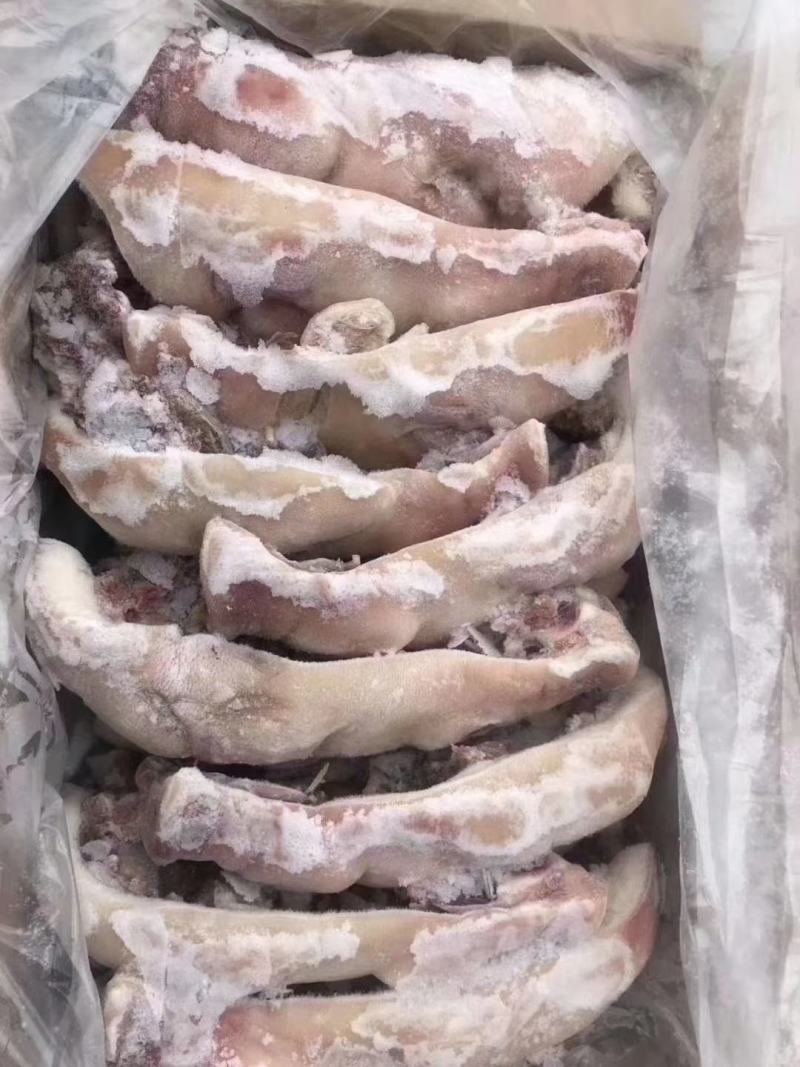 河南郑州猪头肉半成品猪头肉，猪脸肉，去骨猪头肉，猪头肉