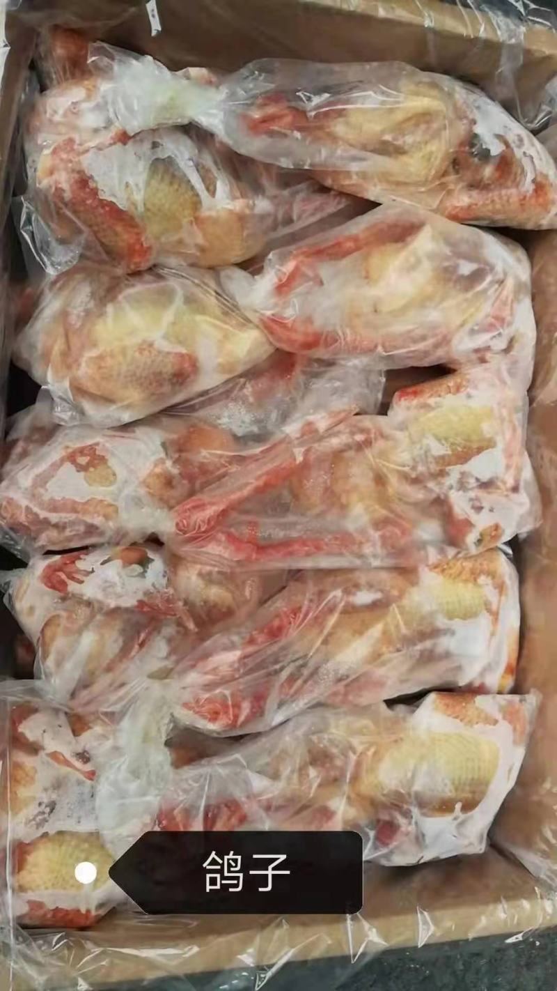 鸡筋皮，适合电商，加工厂，穿串，鸡副鸡分割