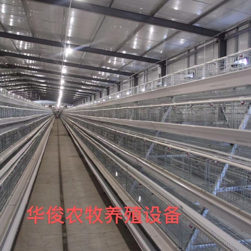 阶梯式蛋鸡笼笼具耐用更实惠