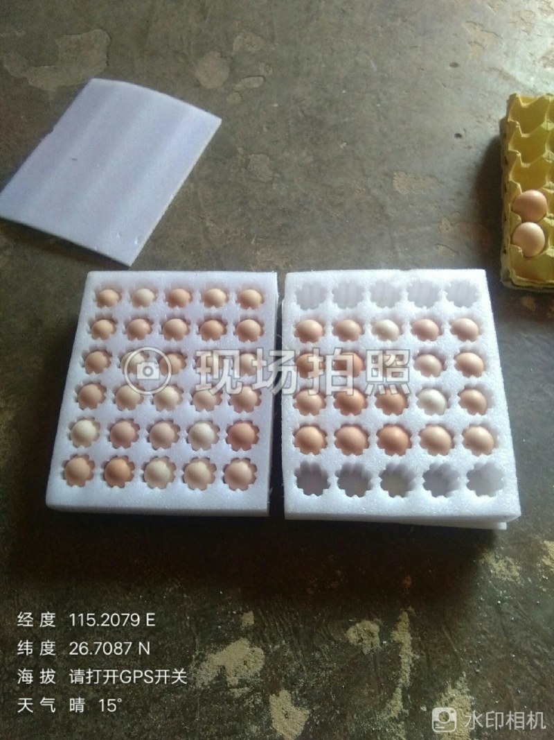 正宗生态土鸡蛋40~50g食用