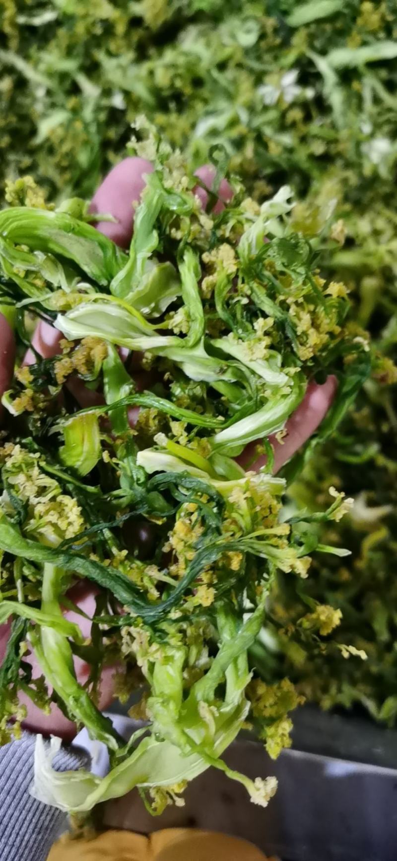 花菜干脱水蔬菜干货菜类大全农家自制椰菜花g